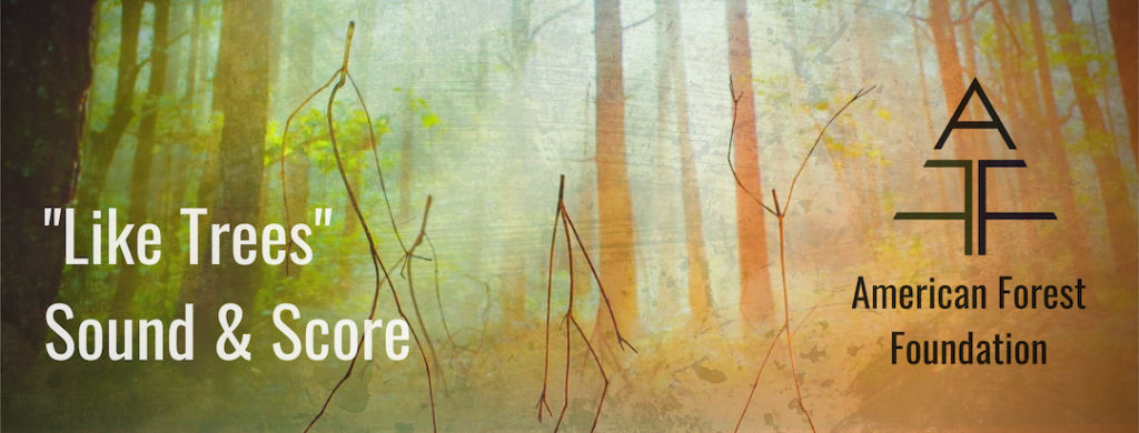 Still from the "Like Trees" campaign of the American Forest Foundation of 3 human-like twig figures standing in from of a forest with the sun streaming through the trees. Overlaid are the words "Like Trees" Sound & Score & the American Forest Foundation logo. Flavorlab Score & Sound provided full service work for the campaign.|Still from the "Like Trees" campaign of the American Forest Foundation of 3 human-like twig figures standing in from of a forest with the sun streaming through the trees. Overlaid are the words "Like Trees" Sound & Score & the American Forest Foundation logo. Flavorlab Score & Sound provided full service work for the campaign.