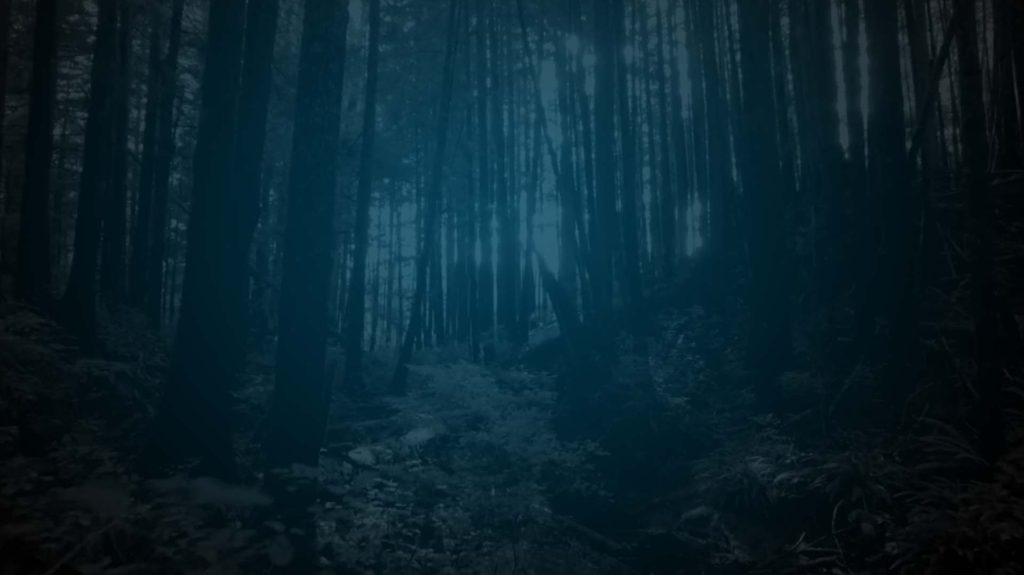 Still of the woods in History's Alone. Flavorlab Sound mixed the series.|